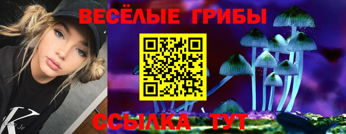 Псилоцибиновые грибы GOLDEN TEACHER Кулебаки