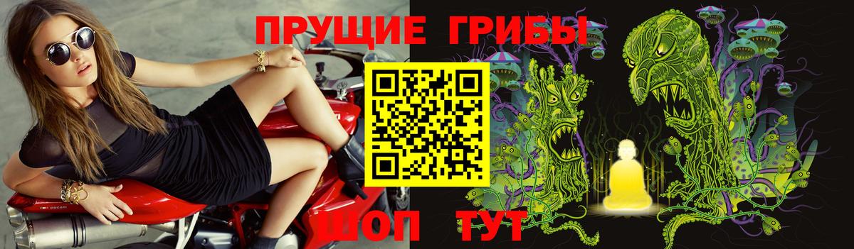 Галлюциногенные грибы Cubensis  Вход с VPN  Кулебаки 
